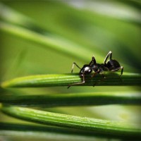 /album/protadgairob/photolia-a05-jpg/