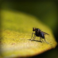 /album/protadgairob/photolia-a07-jpg/